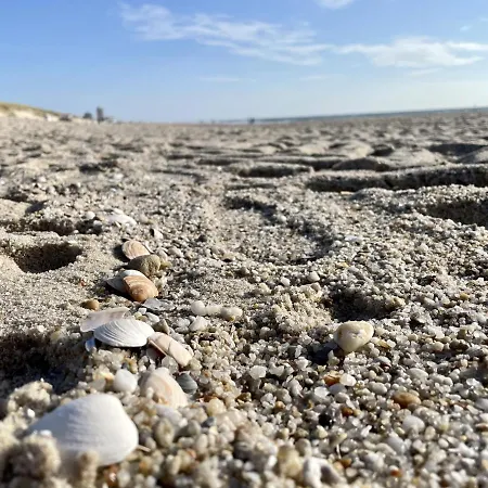 Adrian 4 베스터란트